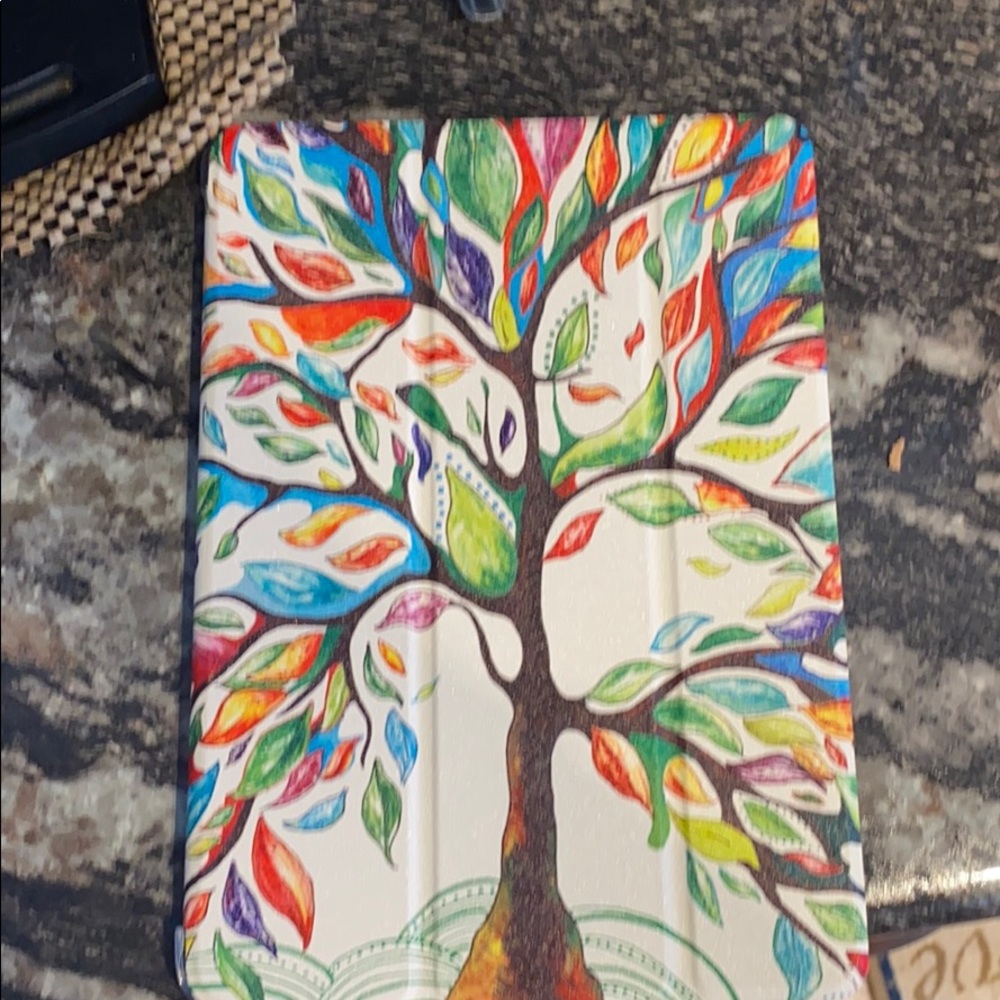 iPad case